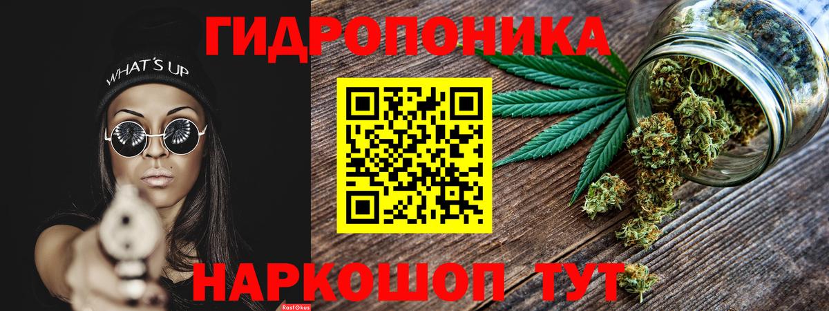 Шишки марихуана VHQ  Бошки Шишки гибрид  Шишки марихуана OG Kush  Вход с VPN  Марихуана White Widow  Кемерово 